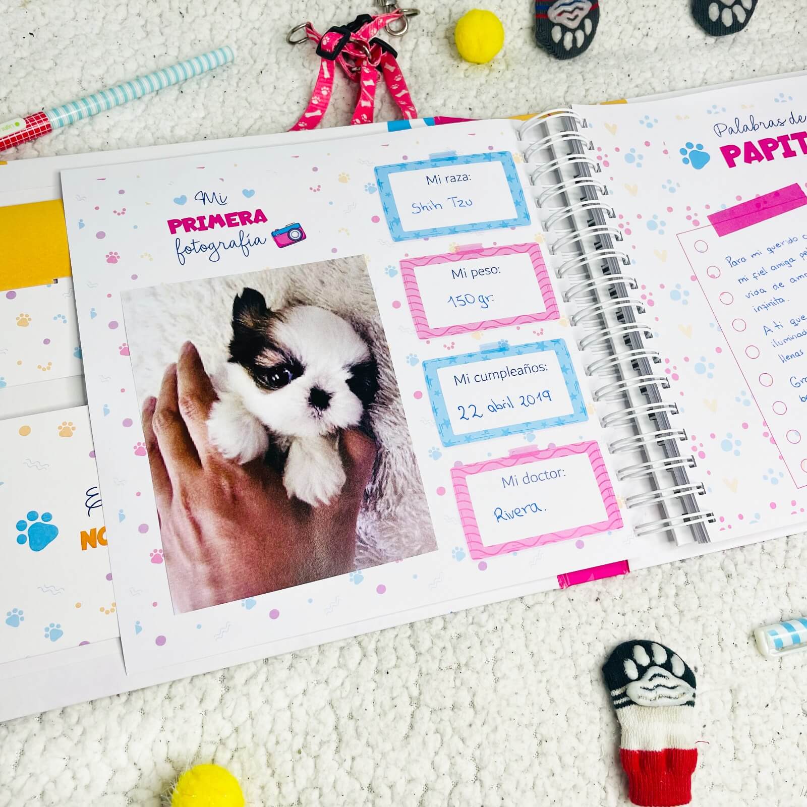 Álbum de mascotas 🐾